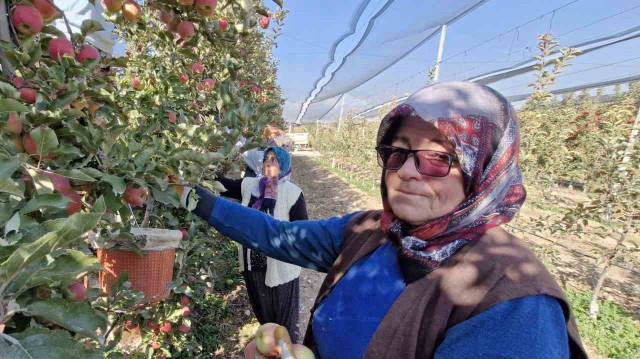 Türkiye’de kalitesini geçebilen yok: C vitamini zengini, bağırsakları besliyor